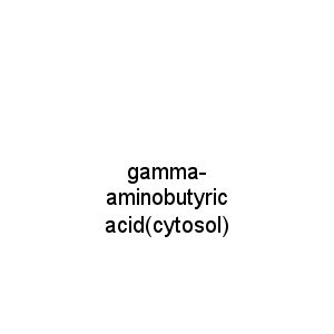 gamma-aminobutyric acid(cytosol)